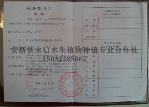 税务登记证
