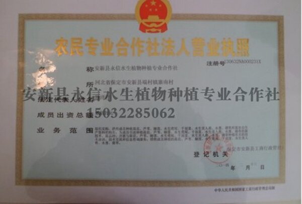 永信营业执照正本