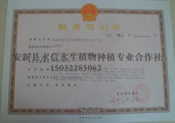 永信税务登记证1