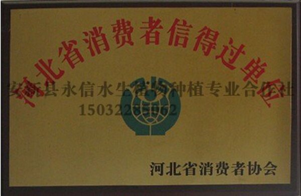 永信消费者信得过单位