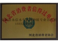 永信消费者信得过单位