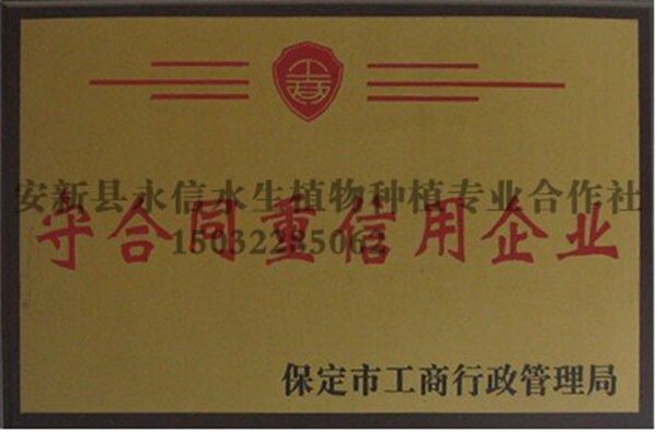 永信重信用企业