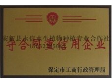 永信重信用企业