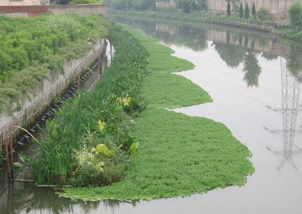 河道改造